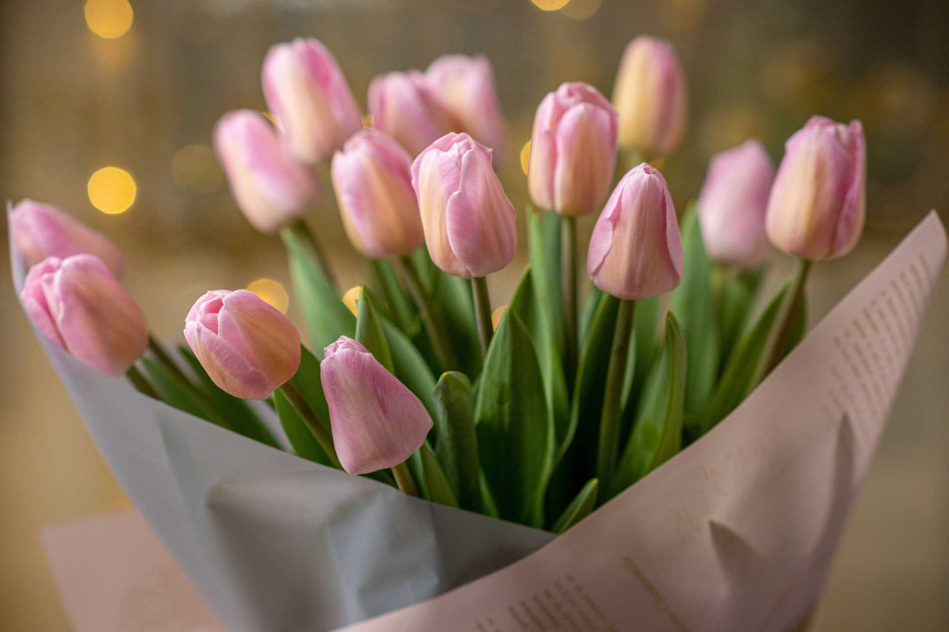birthday flower